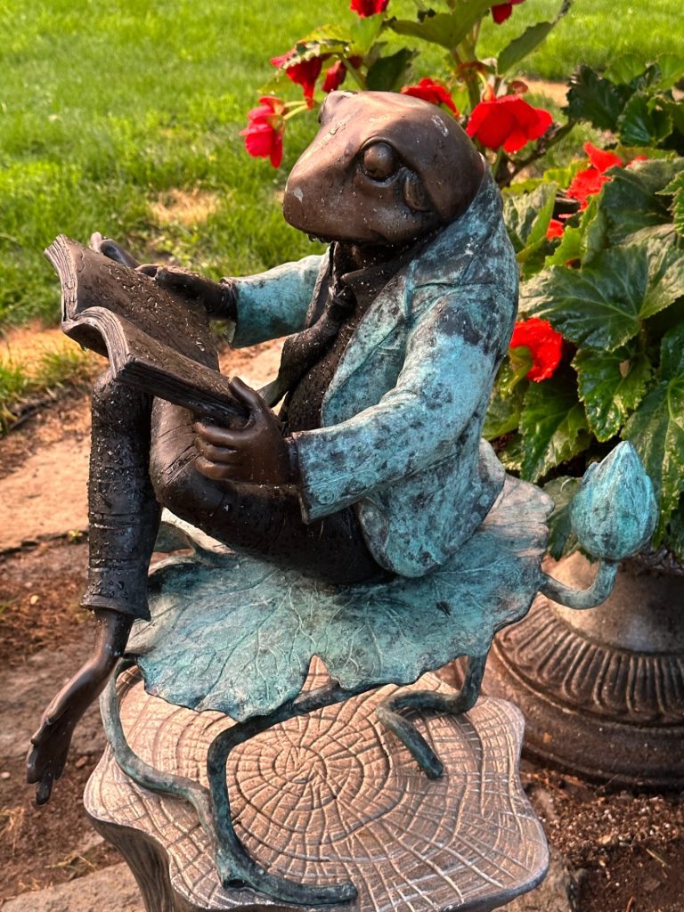 Mr Toad Garden Sculpture Storybook Detail A custom bronze Mr. Toad sculpture reading a book on a lily pad next to bright red flowers at Wind in the Willows Oasis.